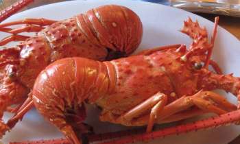 Puzzle 6714 - miam miam