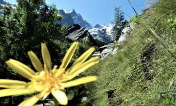 Puzzle 6453 - En Maurienne