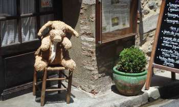 Puzzle 6427 - Cochon