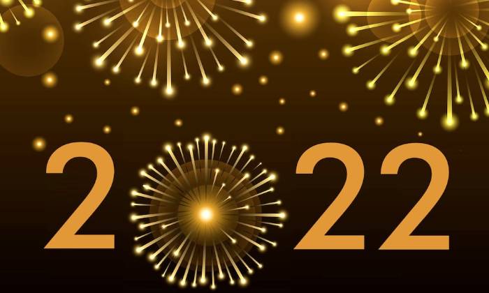 Puzzle Bonne année