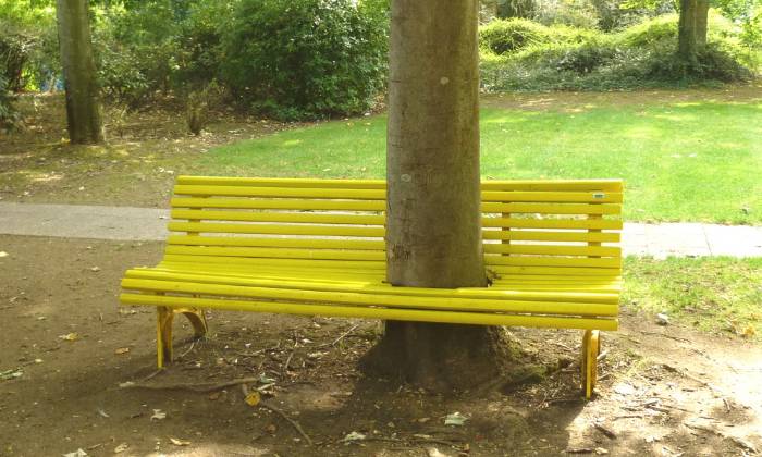 Puzzle arbre bien assis