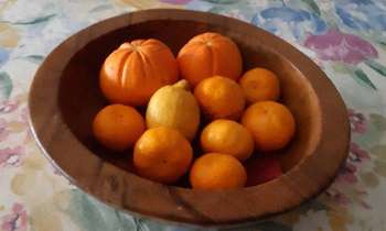 Puzzle 6765 - Fruits