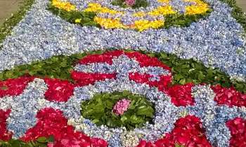 Puzzle 6267 - belle fleur