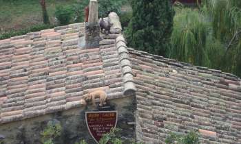 Puzzle 6296 - Chats