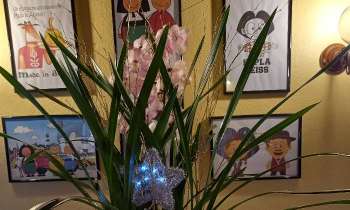Puzzle 6894 - Fleurs