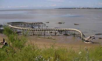 Puzzle 6500 - le serpent de st Nazaire