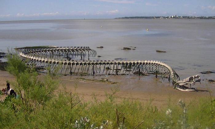 Puzzle le serpent de st Nazaire
