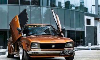 Puzzle 6824 - 504 Peugeot papillon