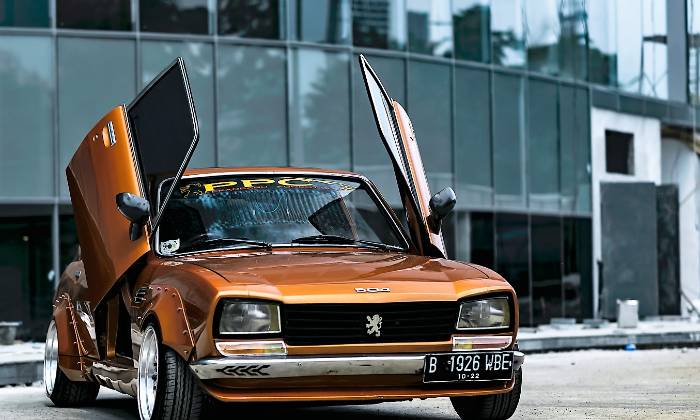 Puzzle 504 Peugeot papillon