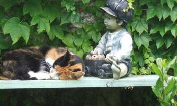 Puzzle 6291 - sieste au jardin