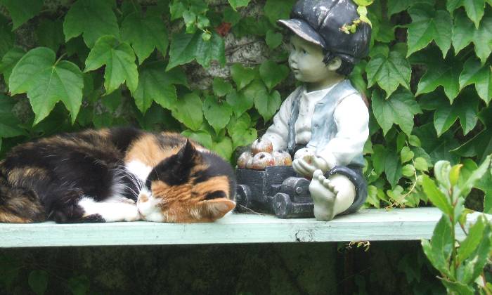 Puzzle sieste au jardin