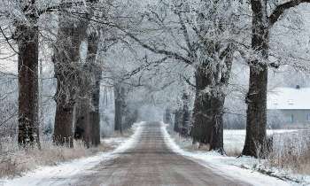 Puzzle 6311 - Route en hiver