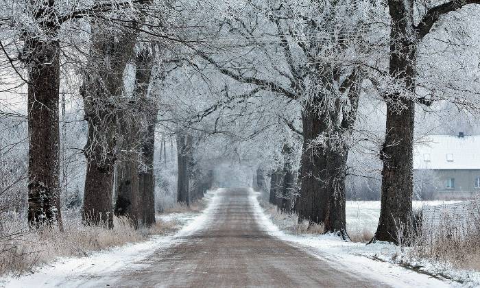 Puzzle Route en hiver
