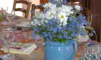 Puzzle myosotis et marguerites
