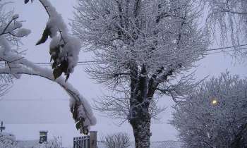 Puzzle 6350 - sous la neige