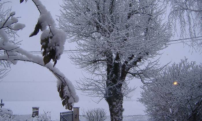 Puzzle sous la neige