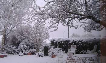 Puzzle 6462 - jardin sous la neige