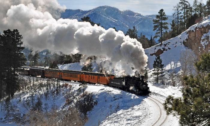Puzzle train