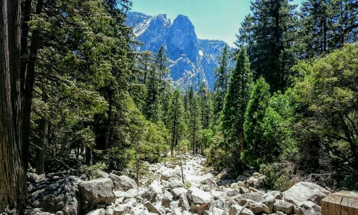 Puzzle Ruisseau de rochers