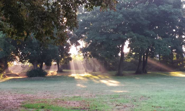 Puzzle lever de soleil