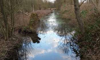 Puzzle 13416 - promenade au fil de l'eau