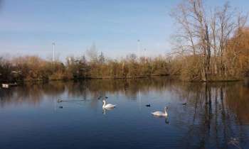 Puzzle 14430 - Au bord du lac