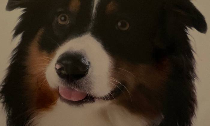Puzzle eclair bebe