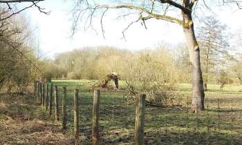 Puzzle 6413 - campagne