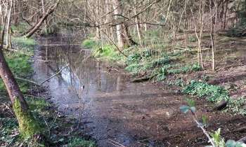 Puzzle 13977 - au fil de l'eau en forêt