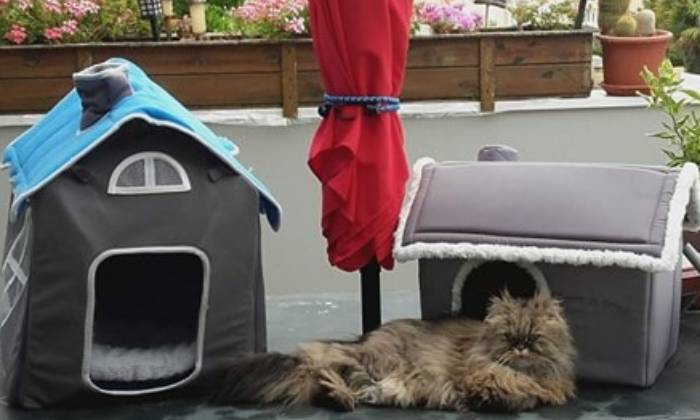 Puzzle repos de minette