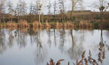 Puzzle 11381 - etang de la balastière