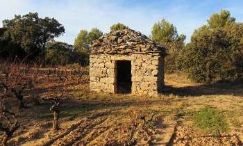 Puzzle 7192 - cabane de vigne