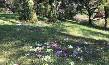 7160 | voilà le printemps - 