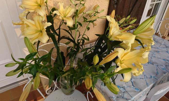 Puzzle Fleurs