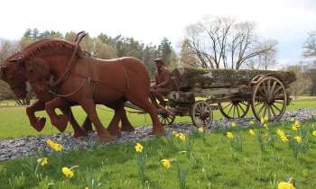 Puzzle 6569 - Chevaux de trait opont