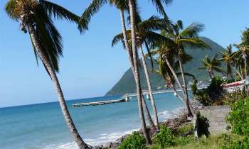 Puzzle 6979 - palmiers sur plage