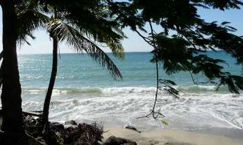 Puzzle 7597 - plage tropicale