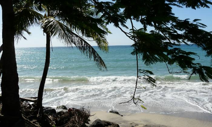 Puzzle plage tropicale
