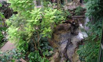 Puzzle 7022 - Zoo de Lunaret Montpellier