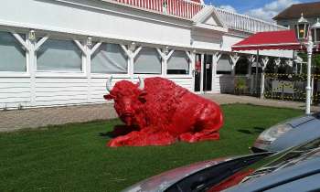 Puzzle 10359 - Buffalo Grill