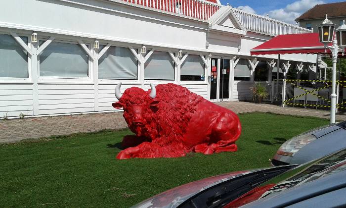Puzzle Buffalo Grill