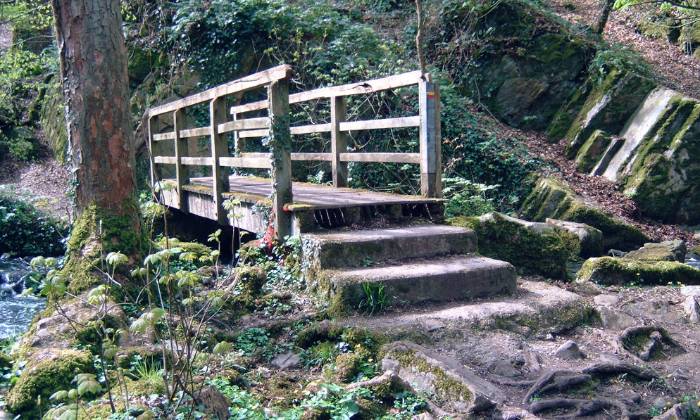 Puzzle petit pont