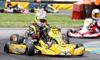 Puzzle 6660 - kart