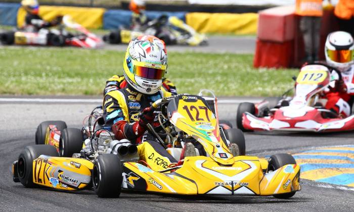 Puzzle kart