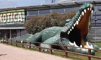 Puzzle 7000 - Le crocodile