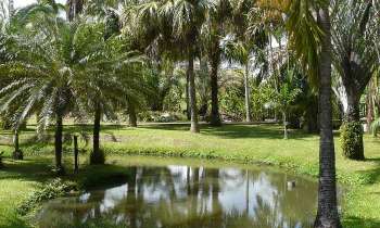 Puzzle 6732 - parc de la rhumerie