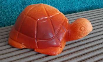 Puzzle 9922 - Tortue