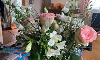 Puzzle 10943 - Bouquet