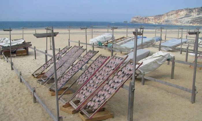 Puzzle Séchage du poisson à Nazaré