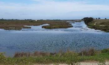 Puzzle 10681 - IIe de Noirmoutier